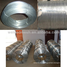 low price electro galvanize iron wire